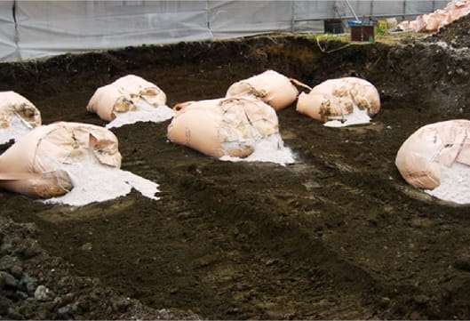 環境配慮型の材料を提供しますs